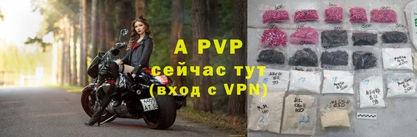 сатива Гусиноозёрск