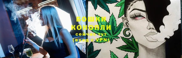 стаф Дмитров