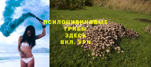 гашик Дмитровск