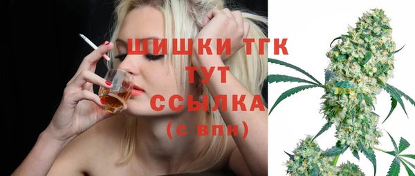 стаф Дмитров