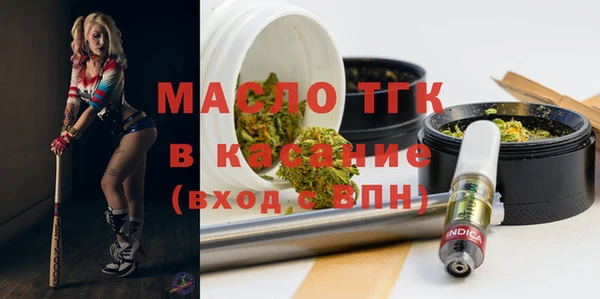 стаф Дмитров