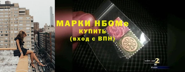 стаф Дмитров