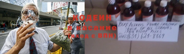 гашик Дмитровск