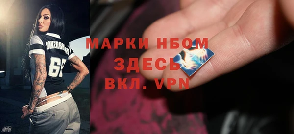 стаф Дмитров