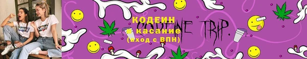 гашик Дмитровск