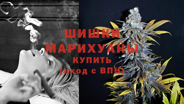 МДПВ Гусев