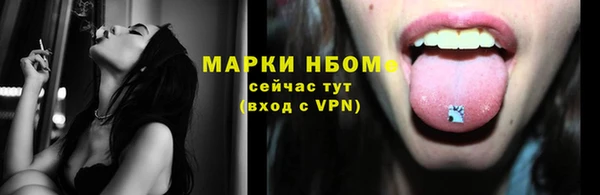 ГАЛЛЮЦИНОГЕННЫЕ ГРИБЫ Гусь-Хрустальный