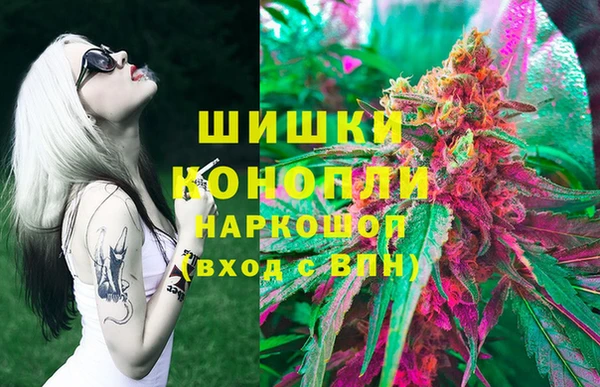 ГАЛЛЮЦИНОГЕННЫЕ ГРИБЫ Гусь-Хрустальный