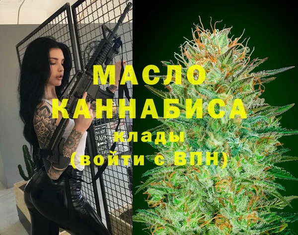 стаф Дмитров