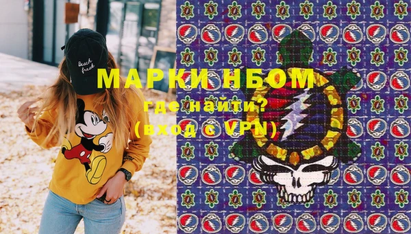 стаф Дмитров