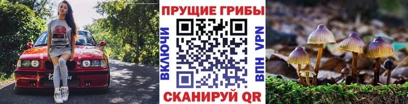 ссылка на мегу как войти  наркота  Копейск  Псилоцибиновые грибы прущие грибы 